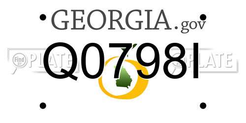 Q0798I Georgia License Plate
