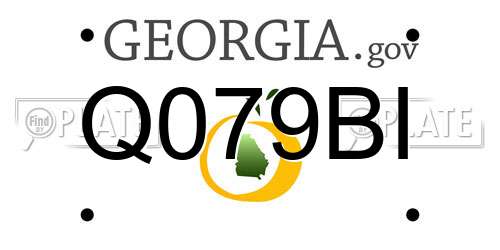 Q079BI Georgia License Plate