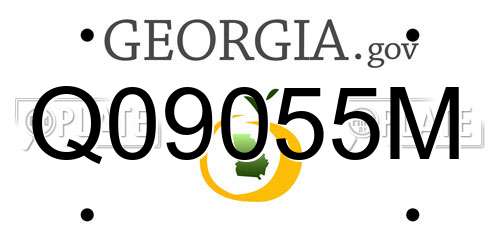 Q09055M Georgia License Plate