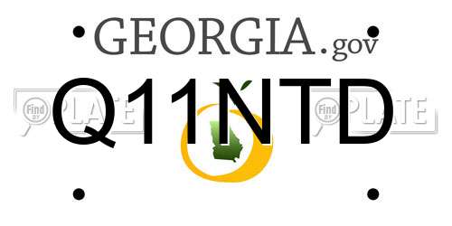 Q11NTD Georgia License Plate