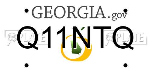 Q11NTQ Georgia License Plate