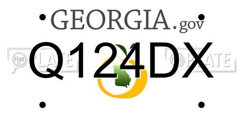 Q124DX Georgia License Plate