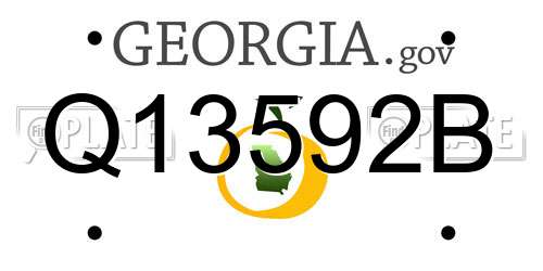 Q13592B Georgia License Plate