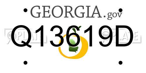 Q13619D Georgia License Plate