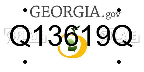 Q13619Q Georgia License Plate