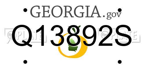 Q13892S Georgia License Plate