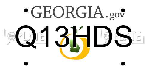 Q13HDS Georgia License Plate