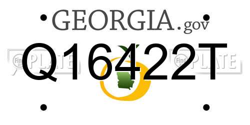 Q16422T Georgia License Plate