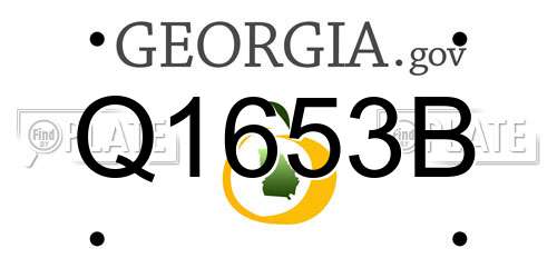 Q1653B Georgia License Plate