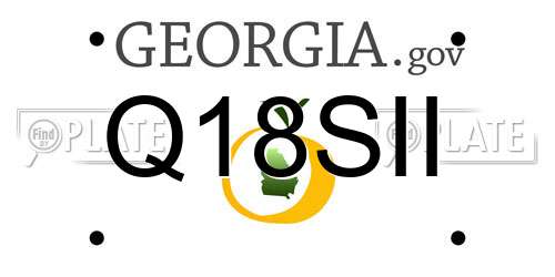 Q18SII Georgia License Plate