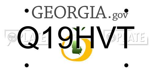 Q19HVT Georgia License Plate