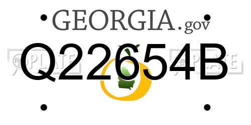 Q22654B Georgia License Plate