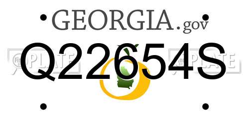 Q22654S Georgia License Plate