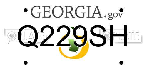 Q229SH Georgia License Plate