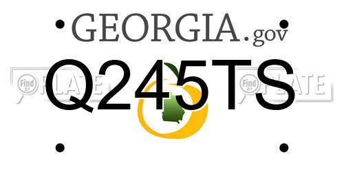 Q245TS Georgia License Plate