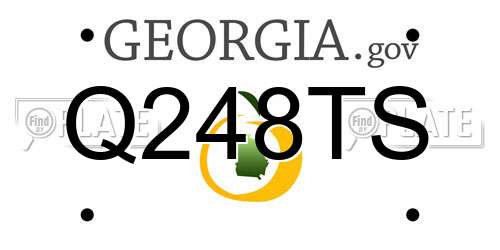 Q248TS Georgia License Plate