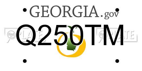 Q250TM Georgia License Plate