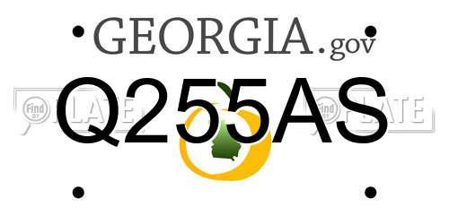 Q255AS Georgia License Plate