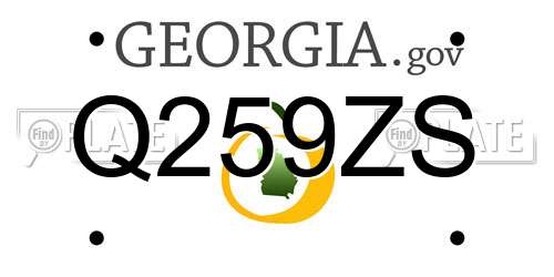 Q259ZS Georgia License Plate