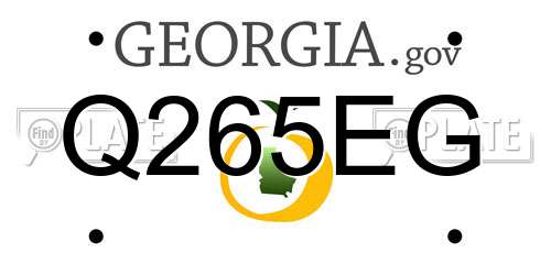 Q265EG Georgia License Plate