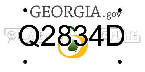 Q2834D Georgia License Plate