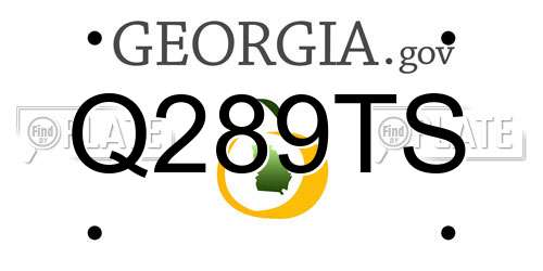 Q289TS Georgia License Plate
