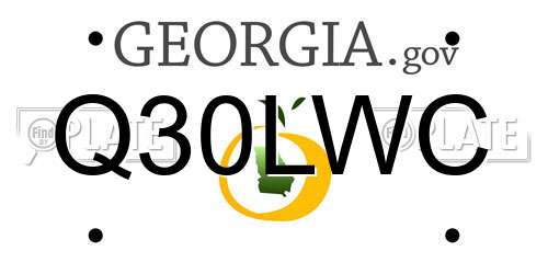 Q30LWC Georgia License Plate