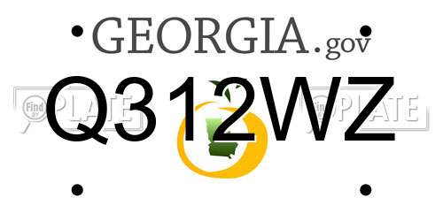 Q312WZ Georgia License Plate