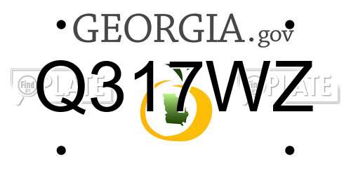 Q317WZ Georgia License Plate