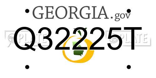 Q32225T Georgia License Plate