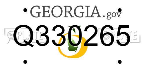 Q330265 Georgia License Plate