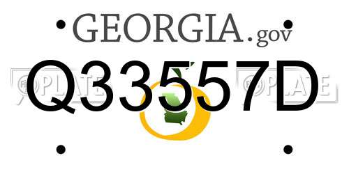 Q33557D Georgia License Plate