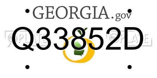 Q33852D Georgia License Plate