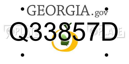 Q33857D Georgia License Plate
