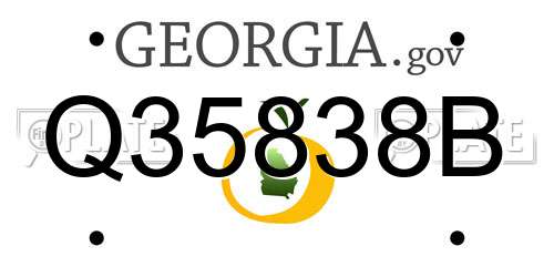 Q35838B Georgia License Plate