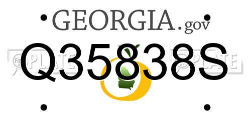 Q35838S Georgia License Plate