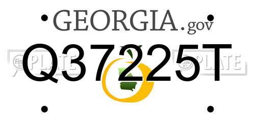 Q37225T Georgia License Plate