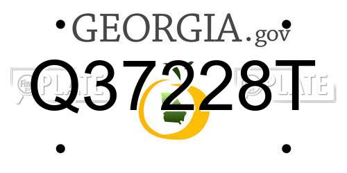 Q37228T Georgia License Plate