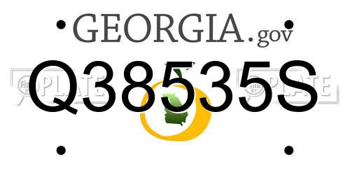 Q38535S Georgia License Plate