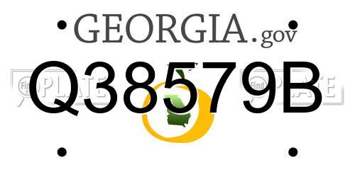 Q38579B Georgia License Plate