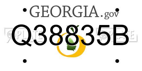 Q38835B Georgia License Plate