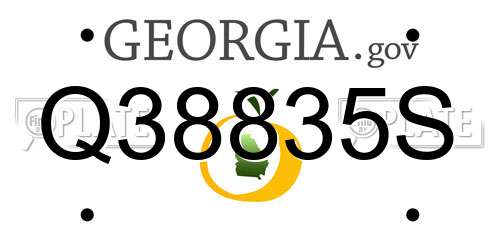 Q38835S Georgia License Plate