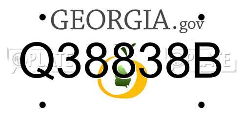 Q38838B Georgia License Plate