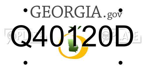 Q40120D Georgia License Plate