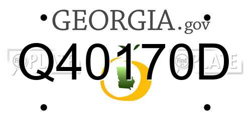Q40170D Georgia License Plate
