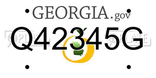 Q42345G Georgia License Plate