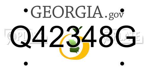 Q42348G Georgia License Plate