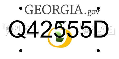 Q42555D Georgia License Plate