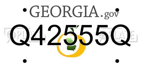 Q42555Q Georgia License Plate