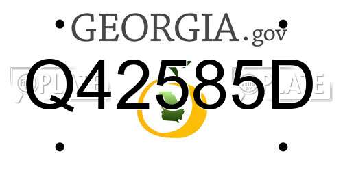 Q42585D Georgia License Plate
